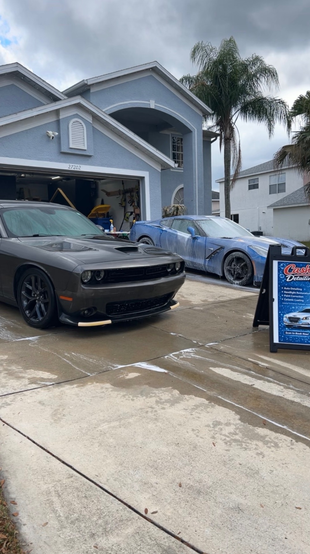 Detailed Challenger and Corvette in driveway